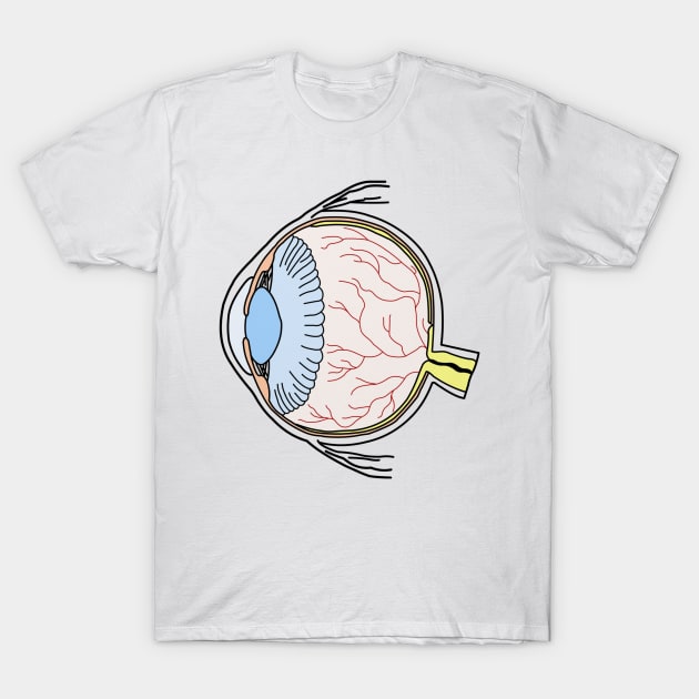 Colorful Eyeball Line Art Large T-Shirt by Organoleptic